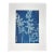 Botanical Impressions No. 09 — Original Acrylic Monoprint Forest Fronds For Sale