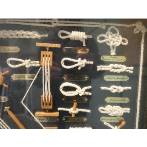 Nautical Objects Shadow Box, 1970 For Sale - Image 6 of 8