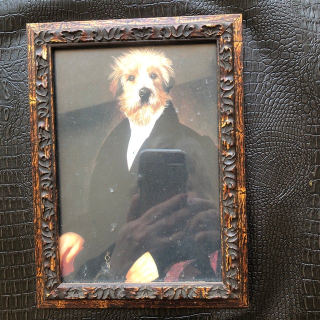 Picture in a picture frame of dog in formal wear with humans hands