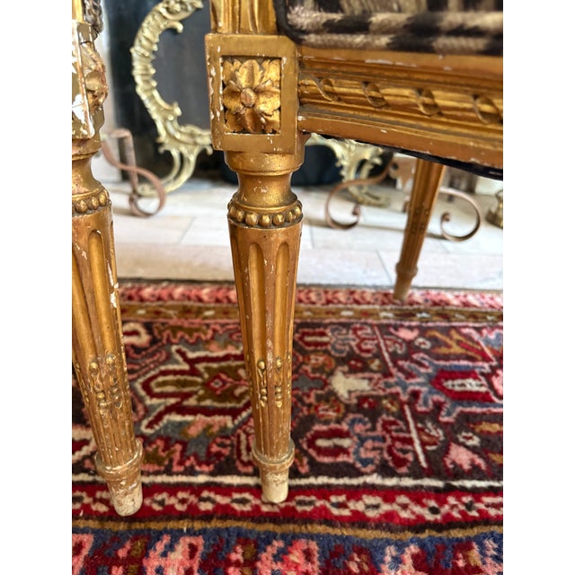 Pair of Louis XVI Medallion Style Arm Chairs Giltwood, 18th Century For Sale - Image 9 of 9