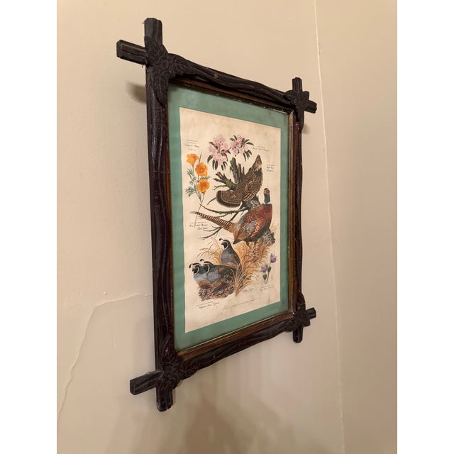 Rustic Vintage Sporting Bird Print, Framed For Sale - Image 3 of 7