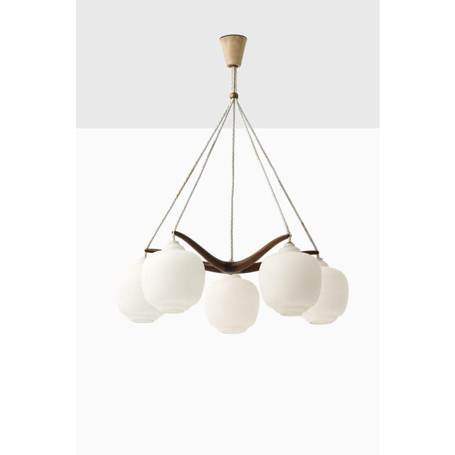 Ceiling Lamp in Opaline Glass and Walnut, 1950s For Sale - Image 3 of 5