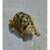 This vintage brooch is sculpted in gold-tone metal into a lifelike, crouching frog, its textured limbs and webbed feet...