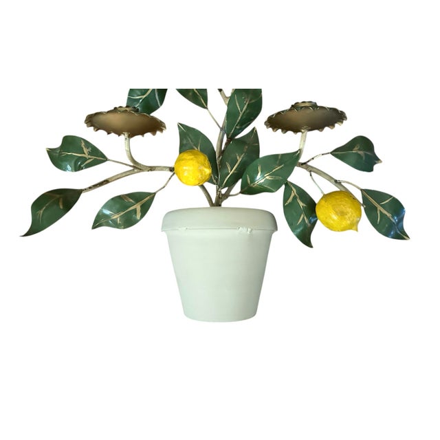 French Vintage Italian Tole Potted Espaliered / Espalier Lemon Tree Candle Wall Sconce / Toleware Candle Holder, Made in Italy For Sale - Image 3 of 9