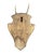 1930s Roe Deer Trophy 144, Black Forest Antlers For Sale - Image 4 of 5