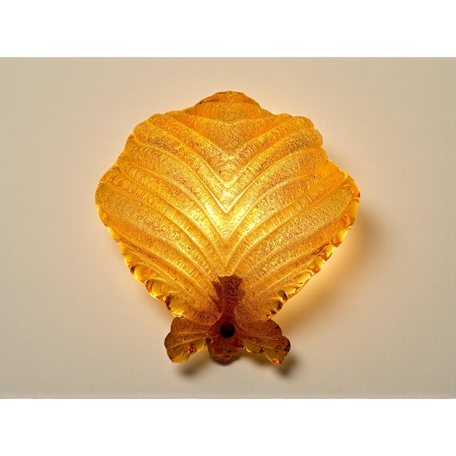 Murano Glass Shell-Shaped Dew Glass Wall Lamps from Manifattura Di Murano, 1960s, Set of 2 For Sale - Image 9 of 16