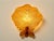 Murano Glass Shell-Shaped Dew Glass Wall Lamps from Manifattura Di Murano, 1960s, Set of 2 For Sale - Image 9 of 16