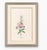 Atelier Aria Lumae Magdalena Rosina Funck Style Botanical Miniature Passe Partout Prints Complete 30 Piece Set A4 For Sale In San Antonio - Image 6 of 18