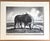 American Vintage 1939 Print in 11x14 Mat, Ready to Frame: John Steuart Curry, "Ajax" EUC For Sale - Image 3 of 3