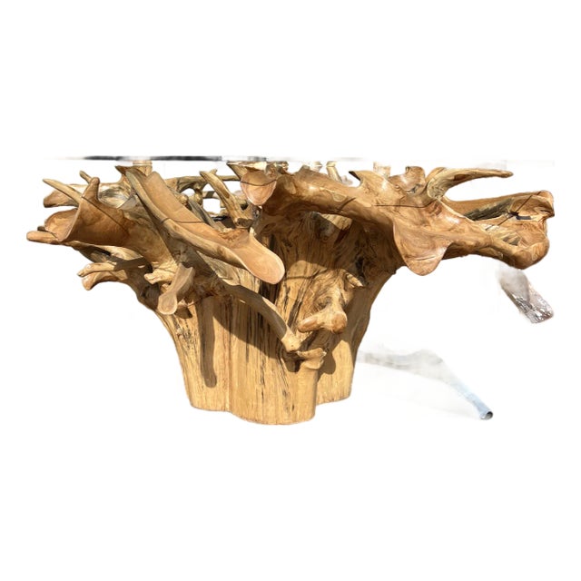 Massive Teak Root Table W/ Removable Glass Top For Sale