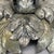 Florentiner Silvered Metal Leaf Theatre Ceiling Light, Italy, 1950s For Sale - Image 6 of 17
