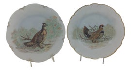 Example of New & Custom Limoges, France