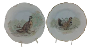 Pair of Vintage Cabinet Plates, Hand-Painted, Quail on Landscape Fond