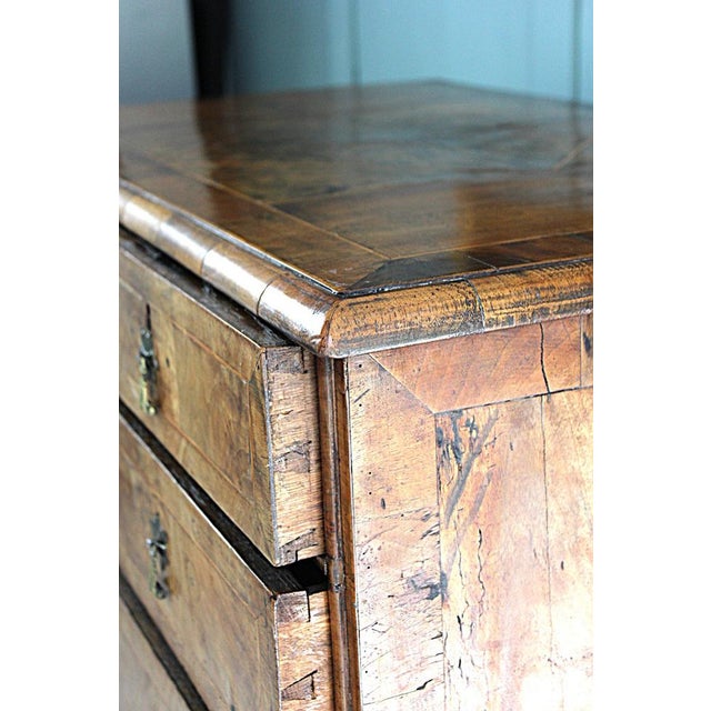 Queen Ann Burr Walnut Chest of Drawers, 1710 For Sale - Image 9 of 18