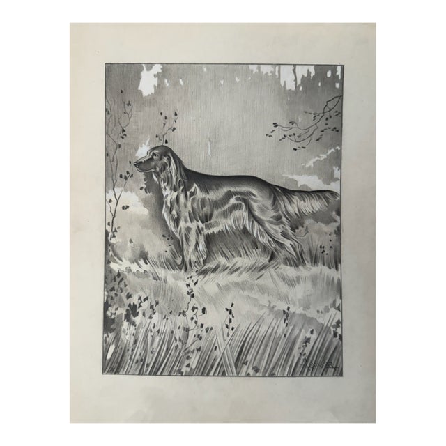 1940s Original Signed Graphite Illustration of English Setter in Woodland Landscape, 11.75 × 9 In. For Sale