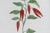 Antique Trio of Framed Double-Print Renaissance Botanical Wall Art For Sale - Image 13 of 18