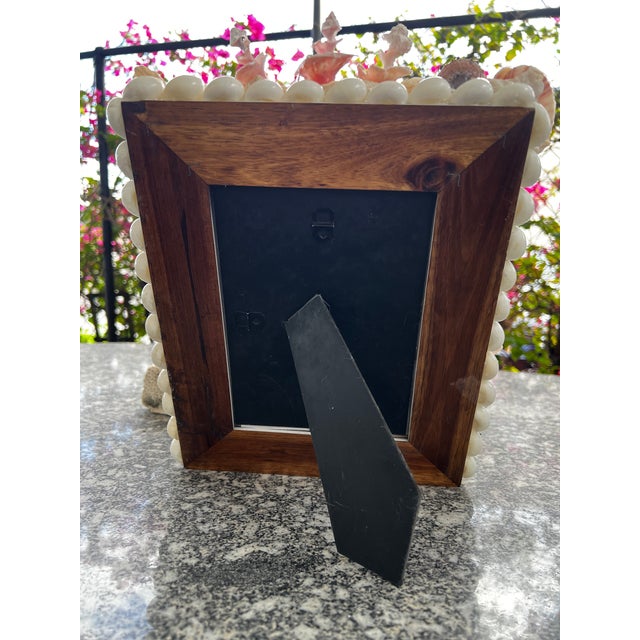 Shell CSS Seashell Photo Frame For Sale - Image 7 of 8