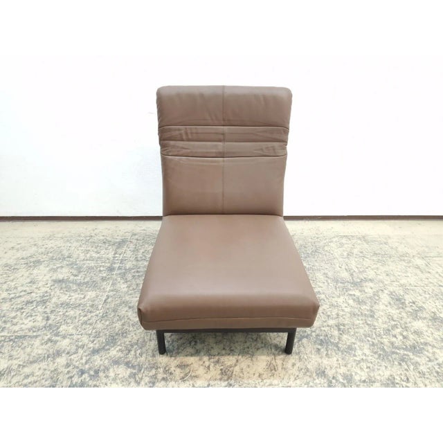 Plura Leather Armchair in Brown from Rolf Benz For Sale - Image 9 of 13