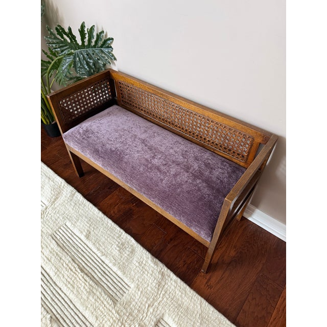 Wood 1950s Vintage Mid-Century Modern Cane Back Bench For Sale - Image 7 of 12