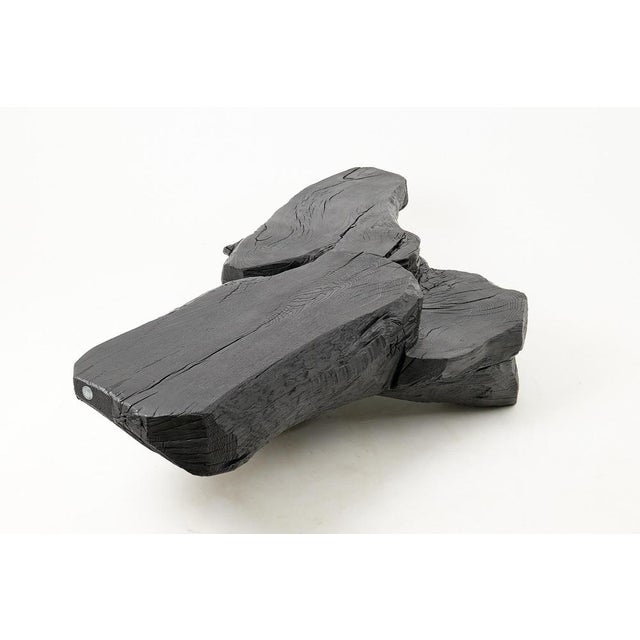 Sculptural Rustic Coffee Table in Burnt Black Wood by Logniture For Sale - Image 16 of 18