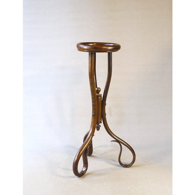 Wood Art Nouveau Bentwood Flower Stand, 1890 For Sale - Image 7 of 14