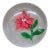 Antique New England Glass Company Pink Poinsettia Latticinio Paperweight For Sale