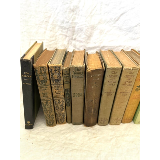 Antique Shades of Green Books S/11 For Sale - Image 4 of 4
