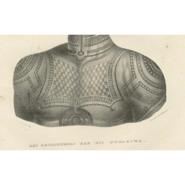 This lithograph by Karl Joseph Brodtmann presents a tattooed man from Nuku Hiva, an island in the Marquesas Islands,...