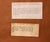 Mid 19th Century Antique Botanical Print of the "Surinam Centropogon" by Sir Joseph Paxton For Sale - Image 5 of 8