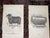 Late 19th Century Authentic Antique 19th Century Sheep Stone Lithographs - Set of 12 For Sale - Image 5 of 9