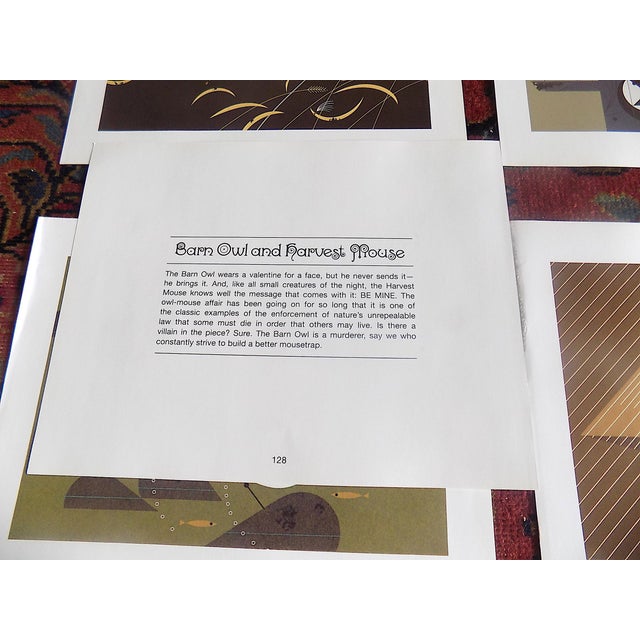 Printmaking Materials Vintage Charley Harper Modernist Abstracted Bird Lithographs (10.75" X 8.25") - Set of 12 For Sale - Image 7 of 10