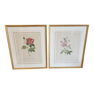 Late 20th Century Pair of Botanical Rose Prints After Pierre-Joseph Redoute For Sale