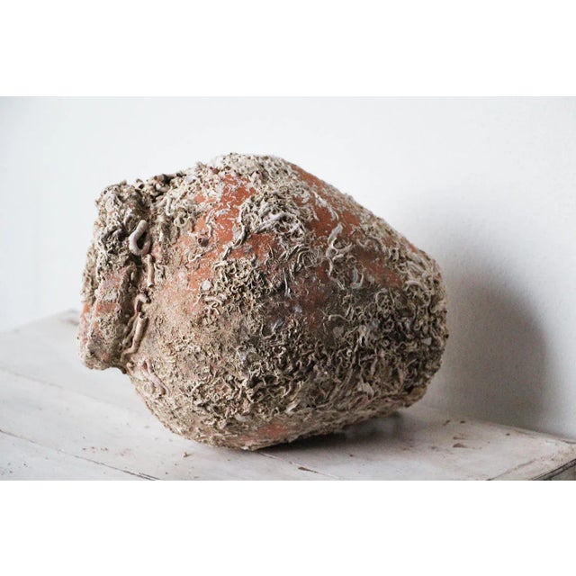 19th Century Antique Terracotta Octopus Trap Vase For Sale - Image 10 of 12