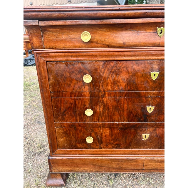 Coffee French 19th Century Louis Philippe Walnut Chest of Drawers For Sale - Image 8 of 12