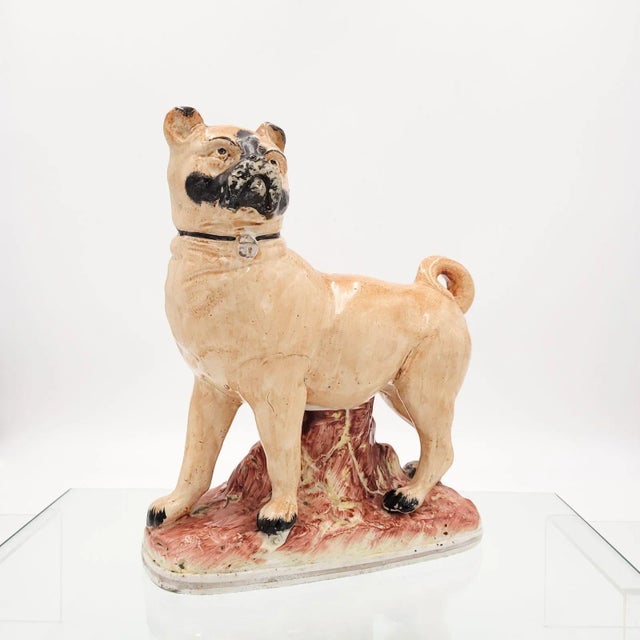 A rare larger Staffordshire pug, England circa 1850.