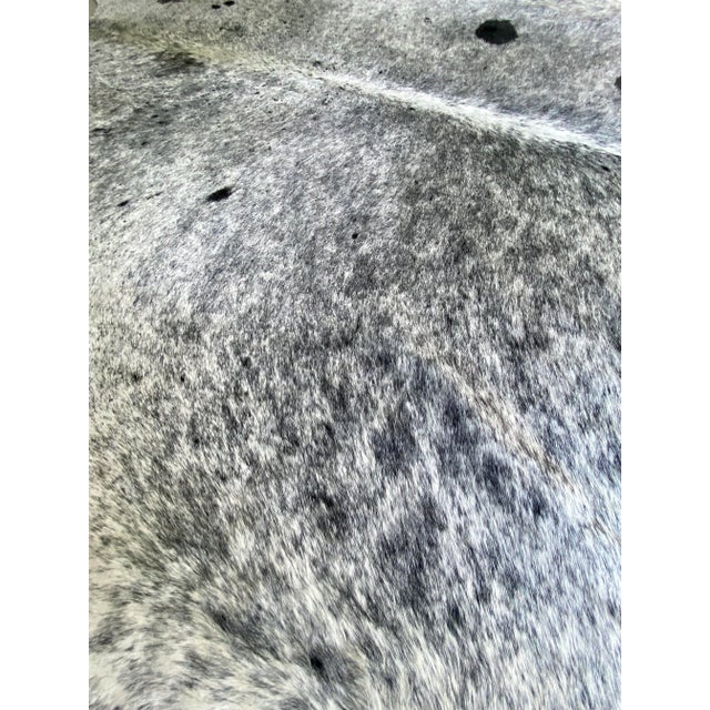 Early 21st Century Natural Black and White Brazilian Cowhide 8' 4" X 8' For Sale - Image 4 of 5
