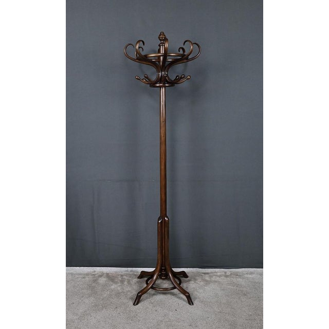 Early 20th Century Parrot Coat Rack in Beechwood, 1890s For Sale - Image 3 of 18