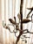 Vintage Bronze Floor Lamp with Parrots on Tree For Sale - Image 9 of 11