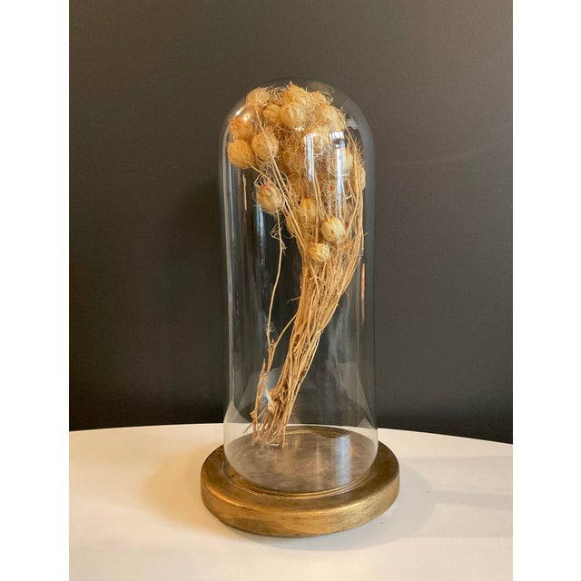 Antique Hand Blown Glass Cloche With Wooden Stand | Chairish