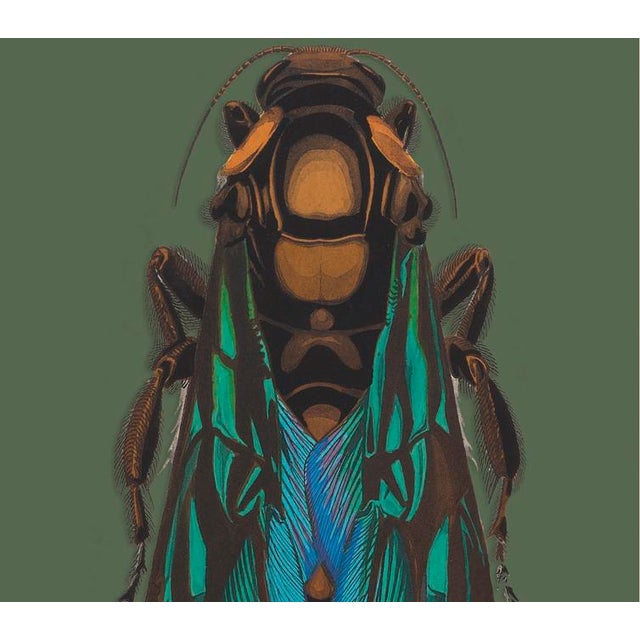 The series was produced by CFA editions from original pochior prints by E.A. Seguy. The series of insects that Seguy...