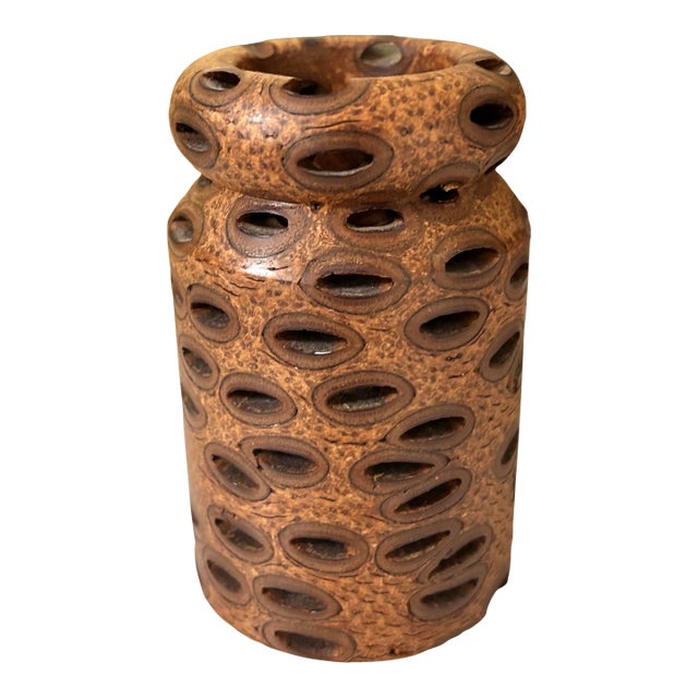 Australian Banksia Seed Pod Pencil Holder For Sale
