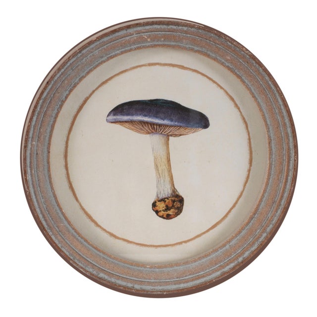 Kenneth Ludwig Chicago Framed Mushroom Print (Set of 4) For Sale - Image 4 of 7