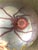 Orient & Flume Signed Spider Art Glass Paperweight 1979 Iridescent Blue For Sale - Image 4 of 8