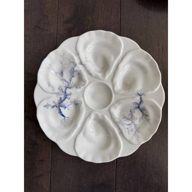 Late 19th Century French Le Chambrelain Porcelain Hand-Painted Seaweed Oyster Plates - Set of 8 For Sale - Image 4 of 13