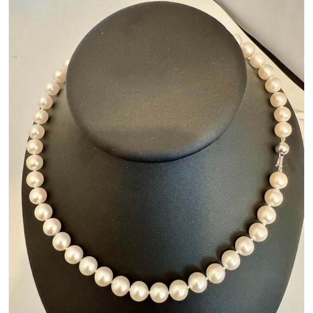 Contemporary Vintage Cultured Akoya Pearl Necklace Length 17" , 18 Karat White Gold Clasp For Sale - Image 3 of 18