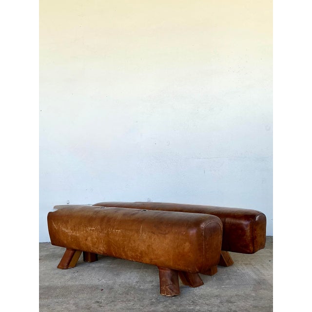 Late 20th Century Vintage Leather Pummel Horses - Set of 2 For Sale - Image 5 of 12