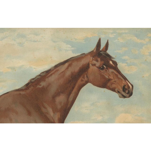 Paper After Eerelman, Thoroughbred Horse Portrait, Pur Sang, Lithograph, 1898 For Sale - Image 7 of 10