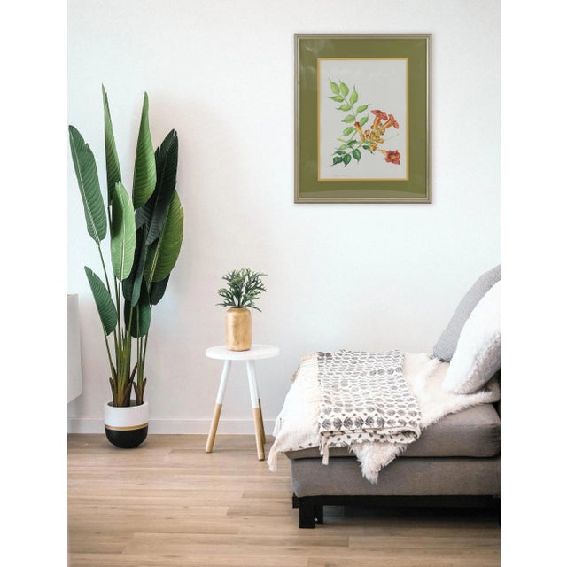 Vintage Hand-Painted Plant Specimen Watercolor Trumpet Creeper (With Frame). Signed in the Lower Right Corner For Sale - Image 10 of 10