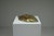 1970s Brass Leaf Fruit Bowl, Europe, 1970s For Sale - Image 5 of 10