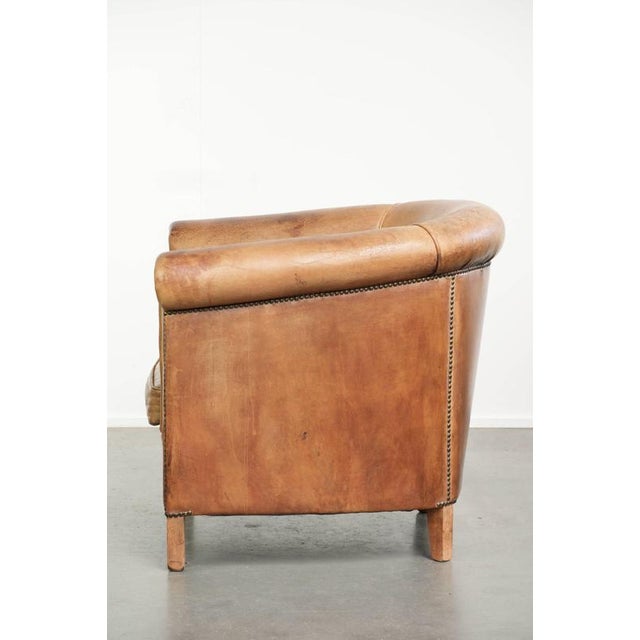 Sheepskin Club Armchair in Light Cognac with Decorative Nails For Sale - Image 5 of 13